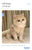 New Lamb Wool Vest for Dogs and Cats: Autumn and Winter Pet Apparel