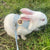 Newest Cute Rabbit Harness & Leash Set - Outdoor Walking Pet Supplies