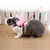 Small Animal Rabbit Harness with Leash Set for Bunny, Guinea Pig, and Ferret