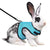 Multi-Color Breathable Pet Harness & Leash Set for Rabbits