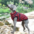 Winter Dog Coat & Jacket - Reflective Pet Apparel for Small to Medium Dogs, Chihuahua, French Bulldog, Pug