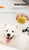 Puppy Joy Dog Bathing Brush & Shampoo Dispenser