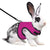 Multi-Color Breathable Pet Harness & Leash Set for Rabbits