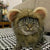 Funny Pet Wig – Lion Mane Hat for Cats & Dogs