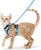 Adjustable Escape-Proof Cat Harness and Leash Set