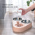 Dog & Cat Self-Service Feeder with Double Bowls and Water Bottle