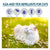 Anti-Flea & Tick Drops – Insect Repellent for Cats & Dogs, Skin Care & Lice Control