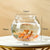 Clear Round Fish Tank - Portable Small Aquarium Bowl for Ornamental Fish