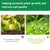 Reptile Coconut Fiber Substrate - Pressed Coir Bedding for Tortoises, Lizards & Terrariums