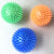 Squeaky Pet Dog & Cat Toy - TPR Chew Ball for Teeth Cleaning & Training