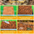 Natural Coconut Chip Bedding - Compressed Coco Husk Substrate for Reptiles & Terrariums