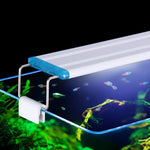 Adjustable Clip-On Aquarium Plant Lamp