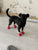 4pcs Waterproof Winter Dog Shoes - Warm Boots for Small & Medium Dogs, Chihuahua, Yorkshire