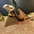 Adjustable Reptile Harness & Leash for Lizards, Geckos, and Bearded Dragons