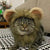 Funny Pet Wig – Lion Mane Hat for Cats & Dogs