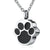 Pet Paw Print Cremation Necklace – Memorial Ashes Keepsake for Men & Women