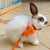 Cute Bunny & Guinea Pig Harness & Leash Set for Small Pets