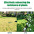 Reptile Coconut Fiber Substrate - Pressed Coir Bedding for Tortoises, Lizards & Terrariums
