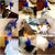 Puppy Joy Cat Scratcher & Grooming Massager