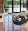 Large Soft Dog Bed with Waterproof Oxford Cover and Removable Cushion