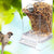 No-Mess Automatic Bird Feeder – Acrylic Seed & Drinker Container for Small to Medium Parakeets