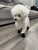 4pcs Waterproof Winter Dog Shoes - Warm Boots for Small & Medium Dogs, Chihuahua, Yorkshire