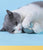 Smart Interactive Rolling Ball - Automatic Cat Toy for Indoor Play