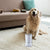 Portable Electric Dog Paw Washer & Massager