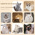 10pcs Cat Strips Protein Snacks