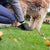 Pet Poop Bags – Solid Color, Portable Dog Waste Bags for Walking & Cleanup