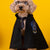 Halloween Pet Cape – Magic Academy Cosplay Shawl