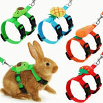 Adjustable Rabbit Harness & Leash Set for Small Animals - Outdoor Walking