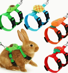 Adjustable Rabbit Harness & Leash Set for Small Animals - Outdoor Walking