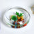 Transparent Plastic Fish Tank - Multi-Function Betta & Goldfish Aquarium for Home & Office Decor
