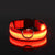 LED Dog Collar – Nylon Glow-in-the-Dark for Night Safety and Visibility