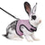 Multi-Color Breathable Pet Harness & Leash Set for Rabbits