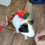 Cute Bunny & Guinea Pig Harness & Leash Set for Small Pets