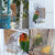 Automatic Bird Feeder – Acrylic Seed & Beverage Container for Small to Medium Parrots