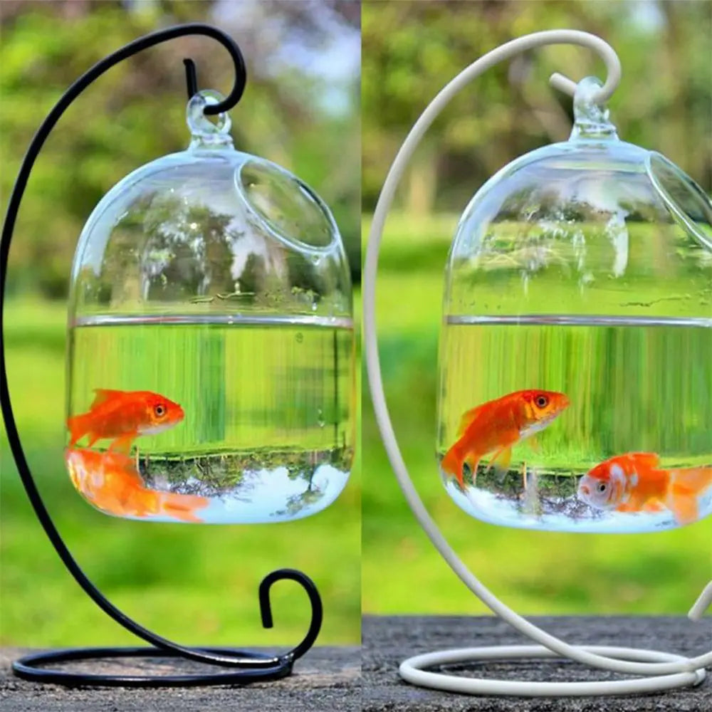 Aquarium Decoration with Rack - Wall Hanging Glass Fish Bowl Vase