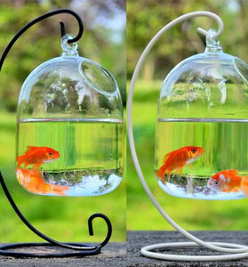Aquarium Decoration with Rack - Wall Hanging Glass Fish Bowl Vase