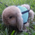 Mesh Breathable Rabbit Harness and Leash Set for Small Pets