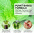 100ml Flea & Tick Prevention – Powerful Control for Cats & Dogs, Including Flea Eggs
