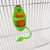 Bird Cuttlebone Holder – Cage Feeding Stand for Parrots, Budgies, & Cockatiels