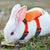 Cute Bunny & Guinea Pig Harness & Leash Set for Small Pets