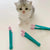 Puppy Joy Soft Pet Eye Care Brush for Dogs & Cats