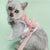 Cat Harness Vest and Leash Set for Small Dogs and Cats – Adjustable Mesh Design