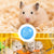 Hamster Jogging Ball - Safe Exercise Wheel for Pets
