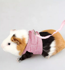 Adjustable Small Pet Harness & Leash Set for Rabbits, Hamsters, & More