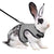 Multi-Color Breathable Pet Harness & Leash Set for Rabbits