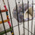 Winter Warm Hamster House & Small Animal Bed